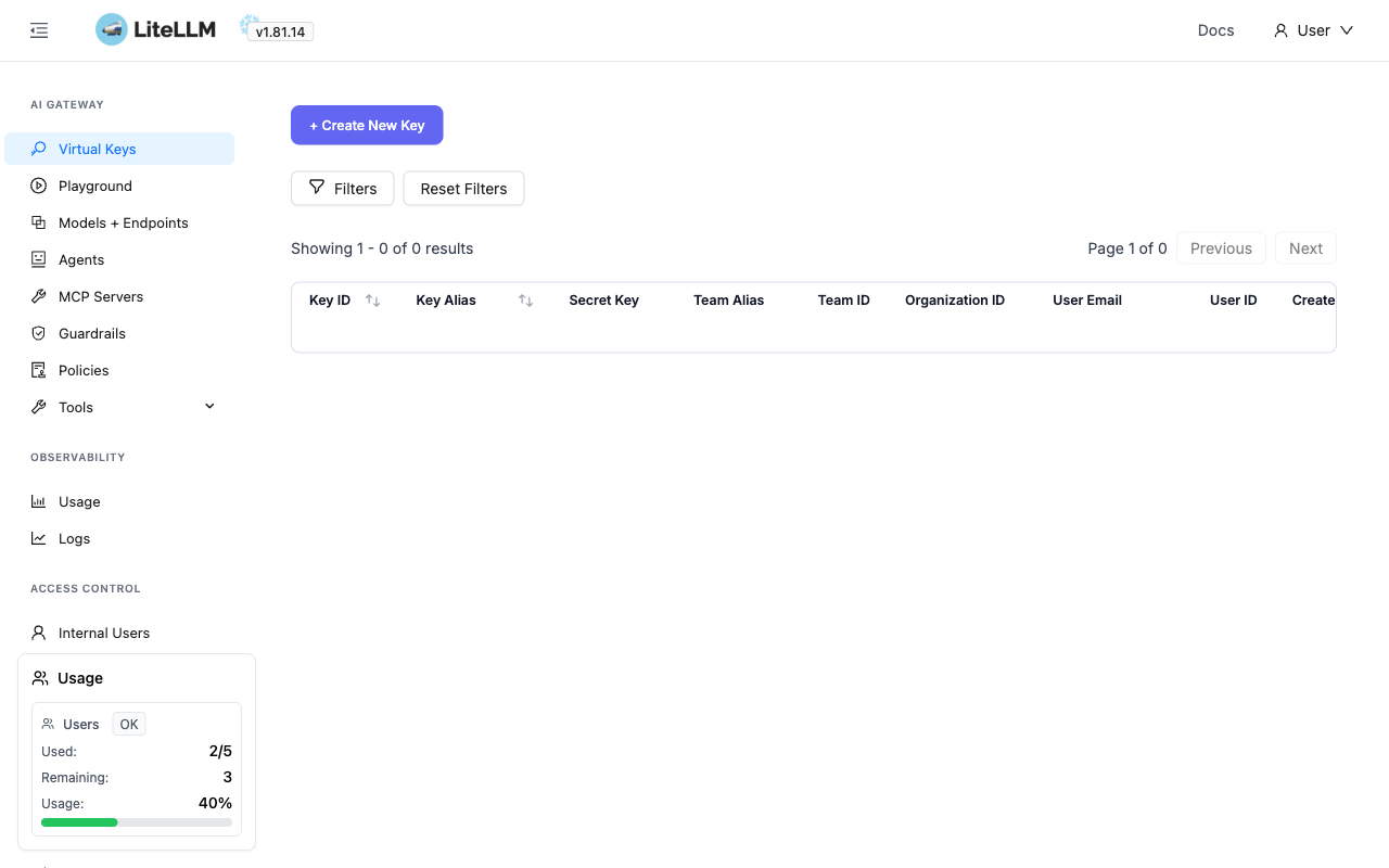 LiteLLM admin dashboard after SSO login